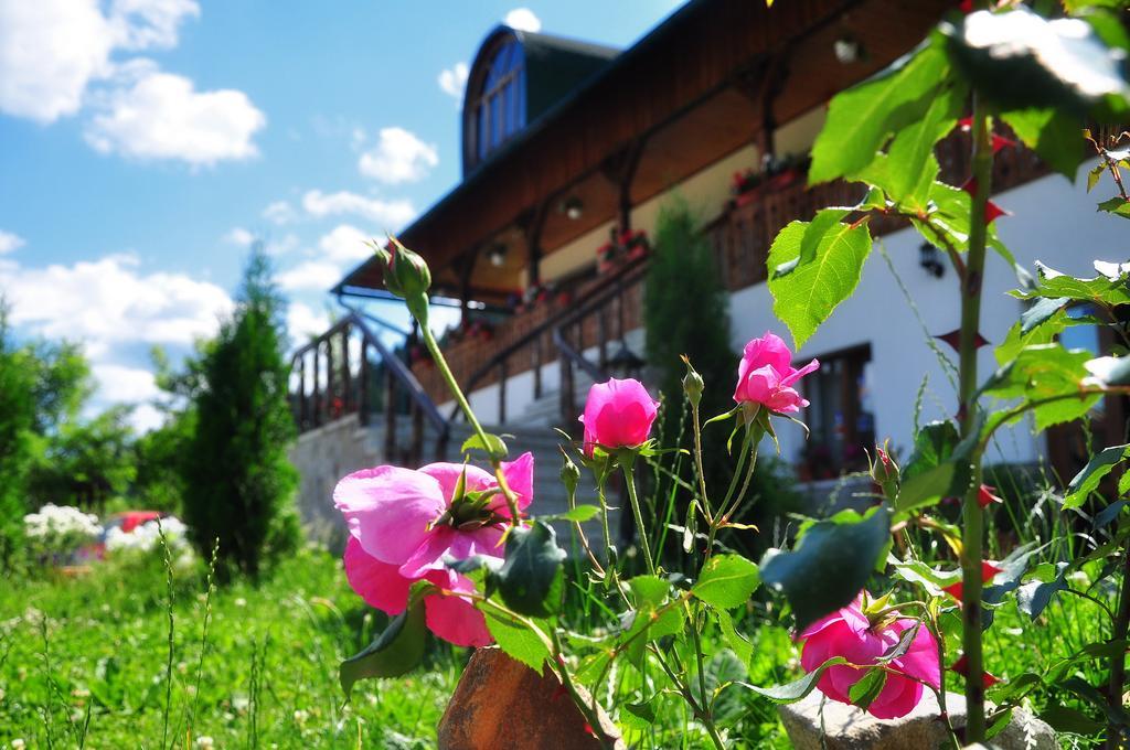 Conacul Domnitei Hotel Voronet Exterior photo